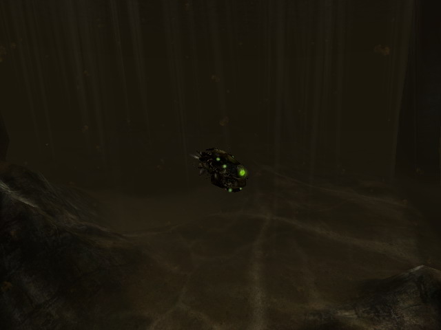 Lacewing